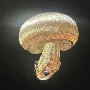 Vintage Trifari Mushroom Pin